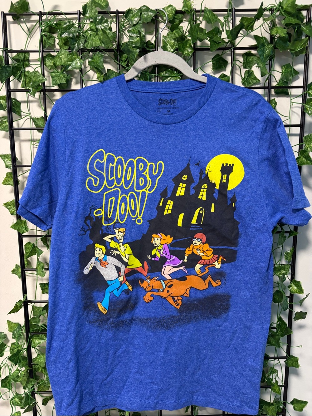 Scooby-Doo! Men's Blue Graphic Short Sleeve Tee